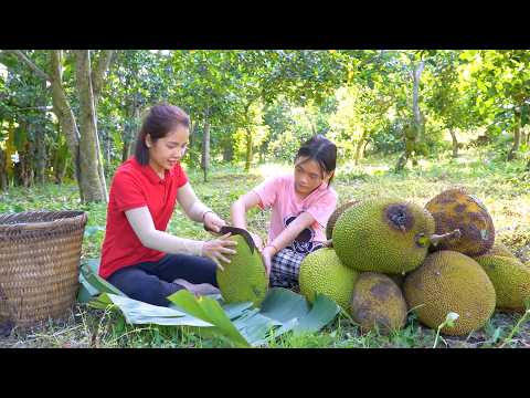 Harvesting 1000 + Kg Giant Jackfruit In Wild To Sell At Market, How To Make Jackfruit Yogurt Dessert