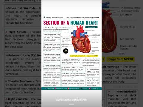 #lifesuccess #medicaleducation #medicalterms #biology #subscribemychannel