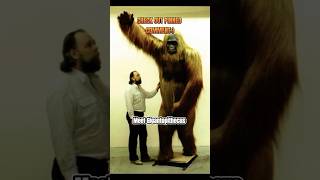 Gigantopithecus | The Largest Ape in History🤯