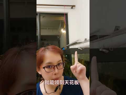 職業工會2-2:什麼時候領老年給付