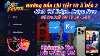 Hướng Dẫn Cài Esign Free Fix Lỗi Không Toàn Vẹn Ứng Dụng - Cách Cài KRNL VNG IOS Siêu Fix Lag V679