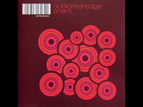 Audiomontage - What You Gonna Do?