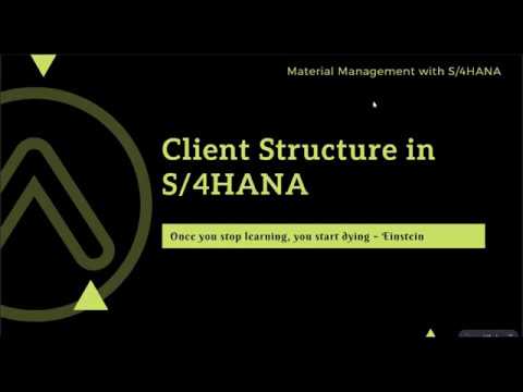 Client Structure in the SAP System