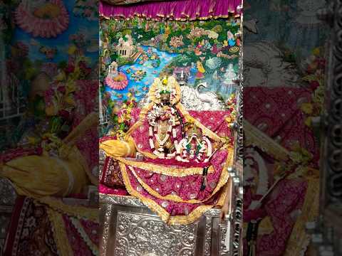 Shri Harivansh #trending #bhakti #radhavallabh #vrindavan #bankebihari #radharani #shorts