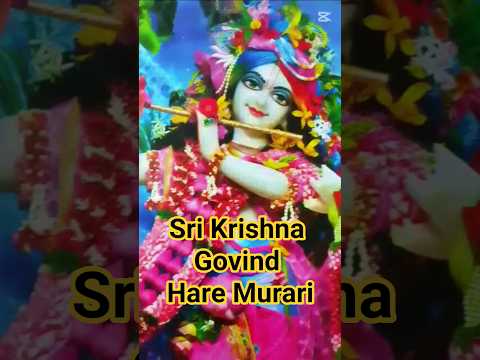 Sri Krishna 🙏❤️🌹#shorts #song #viral #harekrishna #radha #krishna #kirtanworld #iskcon #love #music