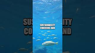 Benefits and Drawbacks of Barramundi Fish