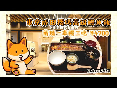 日本美食vlog|東京成田機場高級鰻魚飯 蒲燒一本三吃4700円 鰻魚四代目菊川