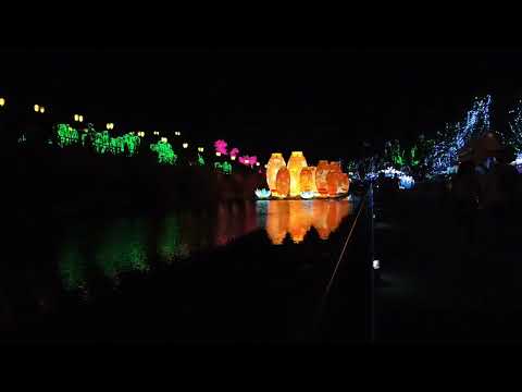 Dji Pocket 2 Lantern Fest