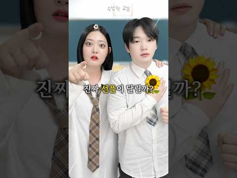 이래도 악플을 다는 사람이 있을까?