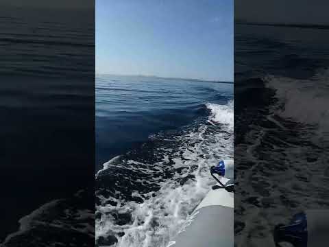 in barca verso l'Asinara