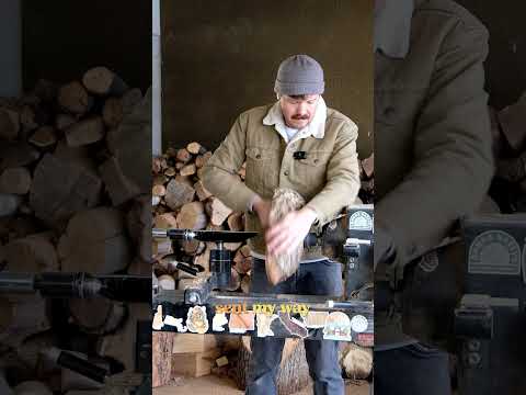 Turning Oak Wood into Cookies (and a Serving Platter) #shorts #wood #woodworking