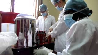 Bottling morphine at Hospice Africa Uganda