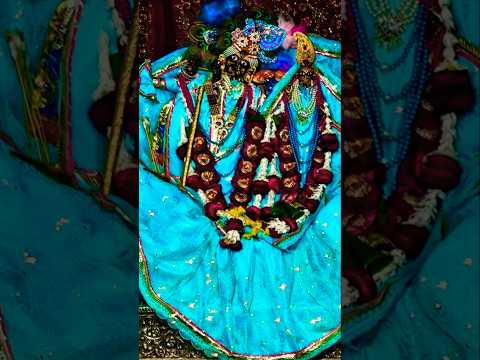 ⚜️श्रीराधारानी जी की संध्या-आरती दर्शन||[27 फरवरी, 2025]⚜️🌺 #youtube#radha#laddugopal#bankebihari🌺