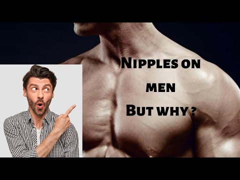 Amazing human body 😱|| Why there are nipples on men ? #shorts #factamint