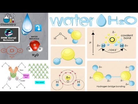 पानी का अणु एवं पानी के गुण(Chemistry) / Water molecule !