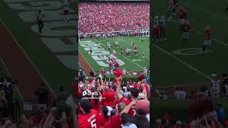 Georgia Dawgs Game Yesterday #shorts #theanimalkid #georgiabulldogsfootball