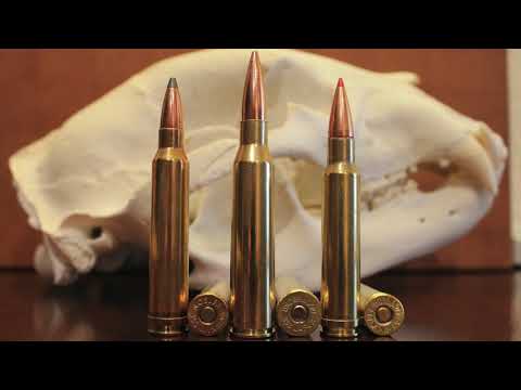 338 Lapua vs 300 Win Mag vs 338 Win Mag: What's Best For You?