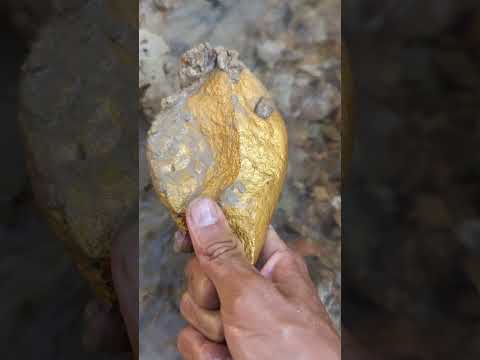 l big gold FOUND #goldhunter #golddiscovery