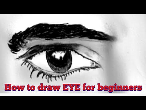 How to draw realistic eye for beginners in #shorts #mrart
