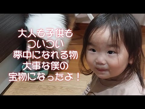 《日常blog》家族で楽しい時間夢中になったよ#日常#1歳8ヶ月#成長#子供#1歳#shortvideo#癒し#あかちゃんのいる生活#ショート#育児#short#shorts#赤ちゃん#親子#成長記録