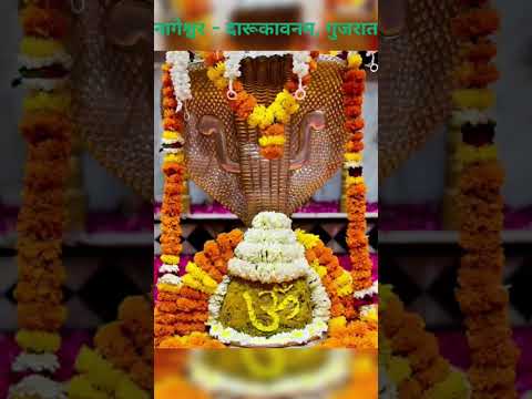 ||12 ज्योतिर्लिंग के अद्भुत दर्शन|| LIVE #shorts #shivratri2025 #anuradhapaudwal #radheradhe #love