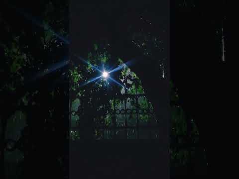 Night Rain Beauty