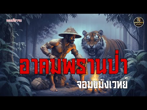 อาคมพรานป่าจอมขมังเวทย์ (ตอนเดียวจบ)