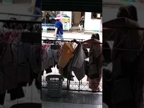 น้ำใจเพื่อนบ้านเจ้าของบ้านไม่อยู่คุณยายข้างบ้านเห็นฝนจะตกเลยช่วยเก็บผ้าให้คลิปจากMooCream#น้ำใจ