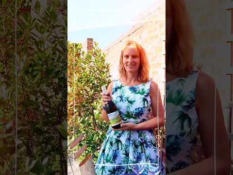 This white wine is brilliant for summer (and it’s on offer!)