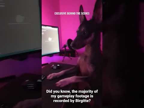 BTS: How I film my gameplay footage 🐶📹