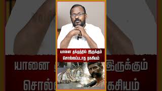 வீரப்பன் அதிகமாக யானை தந்ததை வேட்டையாடிய ரகசியம்  #veerappan #vanniyar #pmk #sandalwood #forest