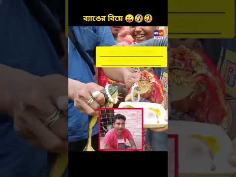 ব্যাঙের বিয়েতে বিরিয়ানি খাওয়া-দাওয়া to World record গরমে ব্যাঙের বিয়ে 😜😜😜😁😁😁😁