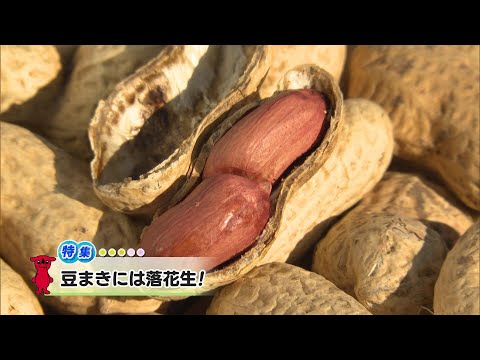 ウィークリー千葉県「豆まきには落花生！」R7/1/25