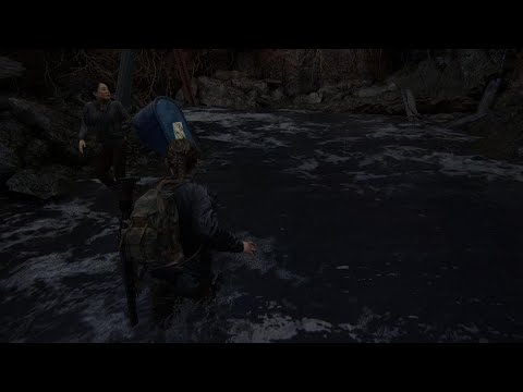 Weird graphical error in TLou part 2 Remastered