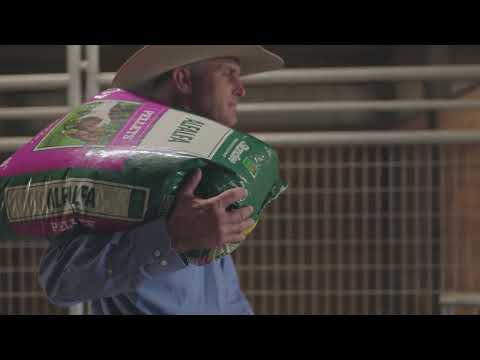 Standlee Forage Pellets
