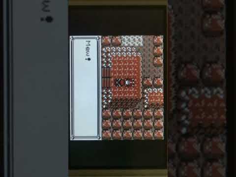 Mewtwo encounter and....