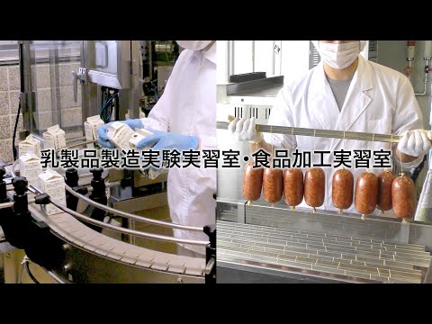 酪農学園大学　乳製品製造実験実習室・食品加工実習室　｜　施設紹介