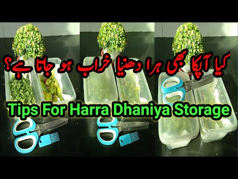 Tips for Harra Dhaniya & Mirchi Storage | 5 Blade Scissor Usage