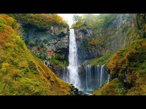 Mountains Forests And Waterfalls