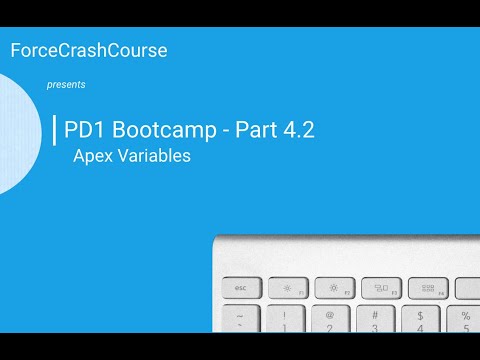 Salesforce Platform Developer Certification Bootcamp - Part 4.2 Apex Variables