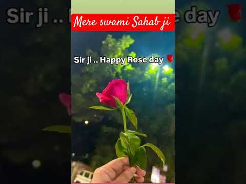 #rose  #roseday @AnkitBaranawal-c8n @YouTube @ReenasainiRainy-nr6or @roses_are_rosie