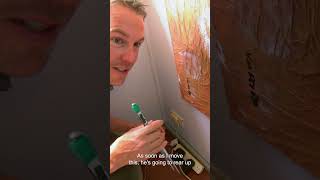 World's Deadliest Spider Invades Family Home! 🕷 #untamed #wildlife #documentary #funnelweb #venom