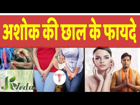 Ashok Chhal Ke Fayde l अशोक की छाल के फायदे l