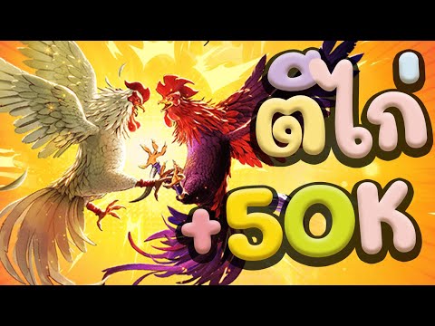 สล็อตPG ไก่ชน กดจนหมดตูด มาบวกไม้สุดท้าย อย่างพีค 50K Rooster Rumble