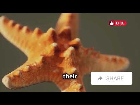 Animals That Can Regenerate Body Parts | Avery Bliss