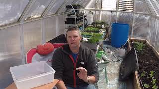 composting tips in 3 minutes or less