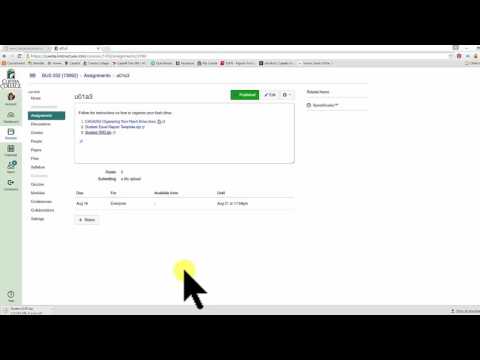 BUS 252 - u01a3 Organizing Your Student Files