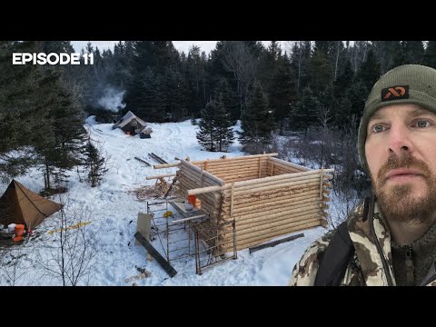Winter Log Cabin Build on Off-Grid Homestead |EP11|
