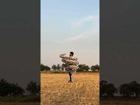 Big snake chase 5 #shorts