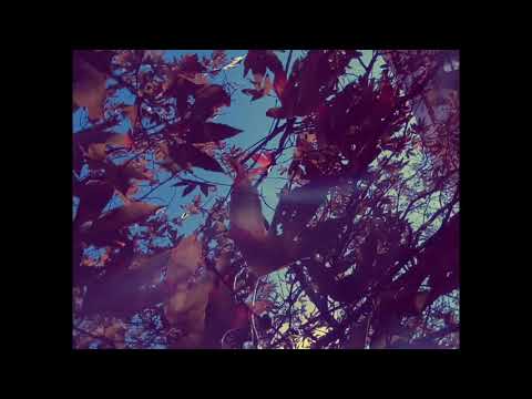🌿 meditation experiment 2 | sound bowl HYMN series • whitewater preserve x bells, water sounds